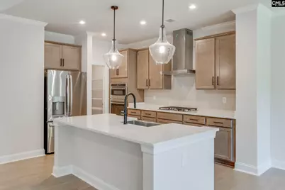 473 Rainbow Shad Way, Lexington, SC 29072 - Photo 7