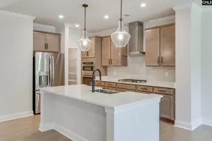 473 Rainbow Shad Way, Lexington, SC 29072 - Photo 7