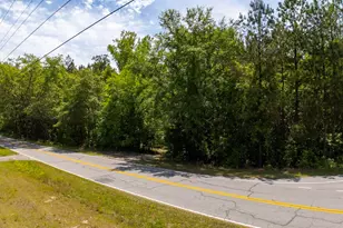 1389 Fulmer Rd, Blythewood, SC 29016 - Photo 17