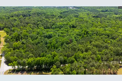 1389 Fulmer Road, Blythewood, SC 29016 - Photo 5