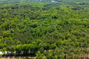 1389 Fulmer Rd, Blythewood, SC 29016 - Photo 5