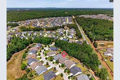 745 Xander Way, Chapin, SC 29036 - Photo 11