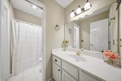 1 Broad Bluff Court, Irmo, SC 29063 - Photo 29