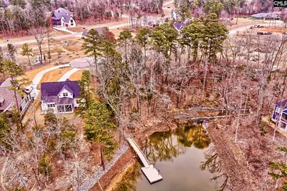 925 Salisbury Court, Chapin, SC 29036 - Photo 1