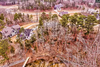 925 Salisbury Court, Chapin, SC 29036 - Photo 3