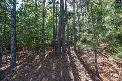 104 Harbor Drive, Columbia, SC 29223 - Photo 5