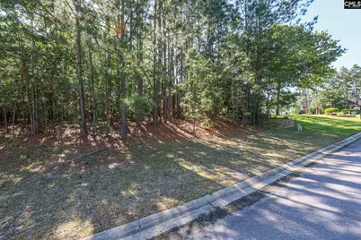 104 Harbor Drive, Columbia, SC 29223 - Photo 7