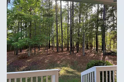 307 Brookridge Drive, Chapin, SC 29036 - Photo 9