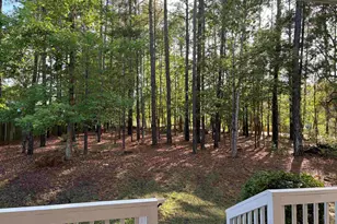 307 Brookridge Dr, Chapin, SC 29036 - Photo 9