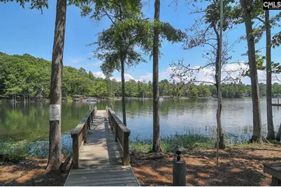 307 Brookridge Drive, Chapin, SC 29036 - Photo 77