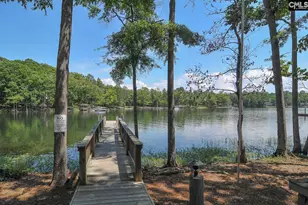 307 Brookridge Dr, Chapin, SC 29036 - Photo 77