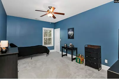307 Brookridge Drive, Chapin, SC 29036 - Photo 47