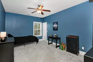 307 Brookridge Dr, Chapin, SC 29036 - Photo 47