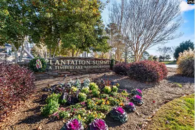 413 Oxenbridge Way, Chapin, SC 29036 - Photo 43