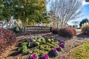413 Oxenbridge Way, Chapin, SC 29036 - Photo 43