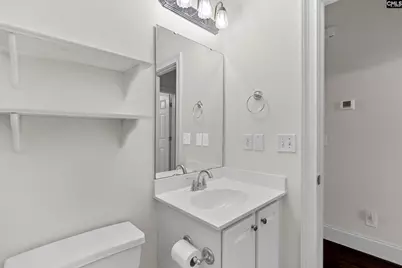 413 Oxenbridge Way, Chapin, SC 29036 - Photo 31