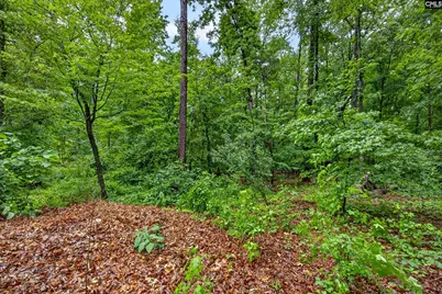 248 Platinum Drive, Lexington, SC 29072 - Photo 37