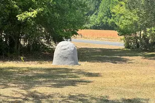 3130 Mt Sinai Church Rd, Lynchburg, SC 29080 - Photo 17
