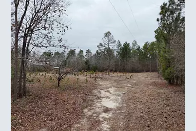 722 Jeff Sharpe Road, Gaston, SC 29053 - Photo 13