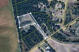 722 Jeff Sharpe Rd, Gaston, SC 29053 - Photo 1