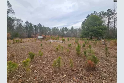 722 Jeff Sharpe Road, Gaston, SC 29053 - Photo 11