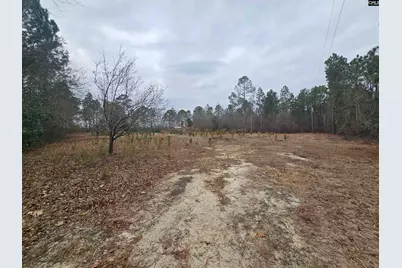 722 Jeff Sharpe Road, Gaston, SC 29053 - Photo 5