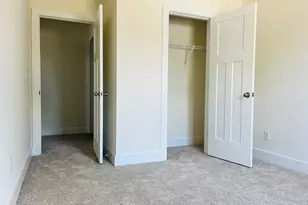 119 Balis Farm Circle, Blythewood, SC 29016 - Photo 33