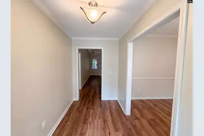 314 Carola Lane, Lexington, SC 29072 - Photo 7