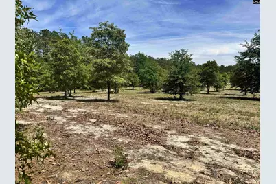 1345 Cheraw Rd, Cassatt, SC 29032 - Photo 1