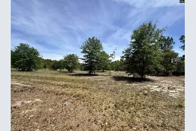 1345 Cheraw Rd, Cassatt, SC 29032 - Photo 3