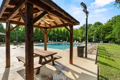 502 Varsity Court, Chapin, SC 29036 - Photo 41