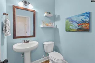 502 Varsity Ct, Chapin, SC 29036 - Photo 23