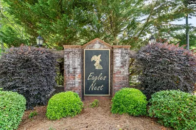 502 Varsity Court, Chapin, SC 29036 - Photo 39