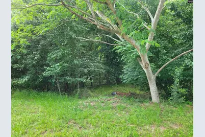 0 River Ridge Road, Columbia, SC 29210 - Photo 3