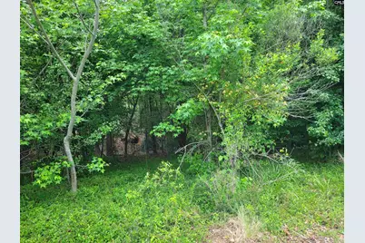 0 River Ridge Road, Columbia, SC 29210 - Photo 11