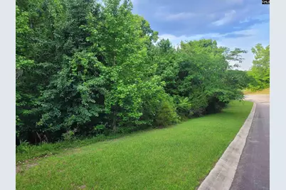 0 River Ridge Road, Columbia, SC 29210 - Photo 7
