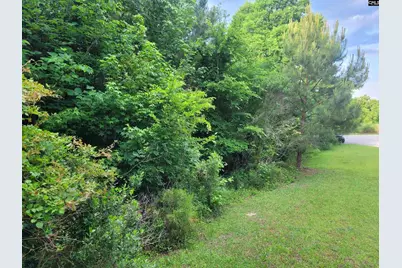 0 River Ridge Road, Columbia, SC 29210 - Photo 5