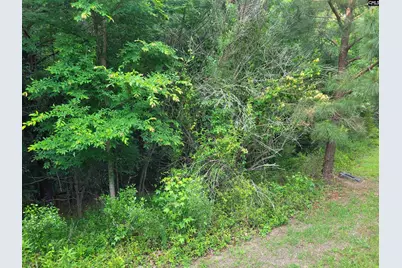 0 River Ridge Road, Columbia, SC 29210 - Photo 13