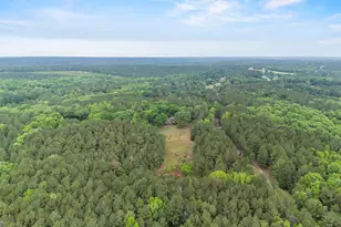 361 Emerald Dr, Blythewood, SC 29016 - Photo 39