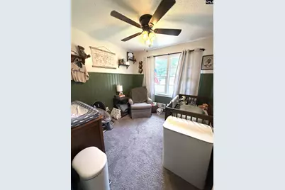 908 Mitchell Drive, Camden, SC 29020 - Photo 19