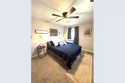 908 Mitchell Drive, Camden, SC 29020 - Photo 15