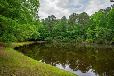 150 Four Foxes Lane, Chapin, SC 29036 - Photo 71