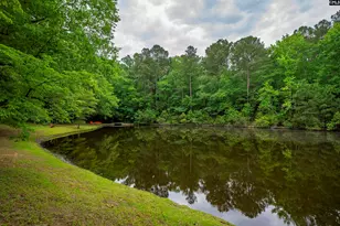 150 Four Foxes Ln, Chapin, SC 29036 - Photo 71