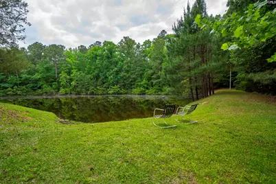 150 Four Foxes Lane, Chapin, SC 29036 - Photo 67