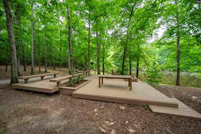 150 Four Foxes Lane, Chapin, SC 29036 - Photo 75