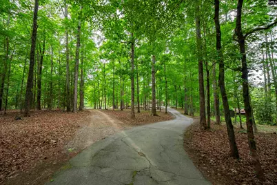 150 Four Foxes Lane, Chapin, SC 29036 - Photo 79