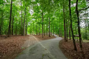 150 Four Foxes Ln, Chapin, SC 29036 - Photo 79