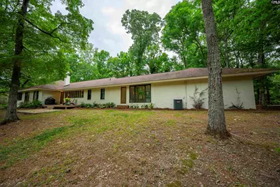 150 Four Foxes Lane, Chapin, SC 29036 - Photo 73