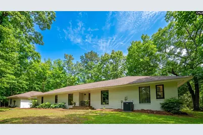 150 Four Foxes Lane, Chapin, SC 29036 - Photo 3