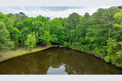 150 Four Foxes Lane, Chapin, SC 29036 - Photo 17